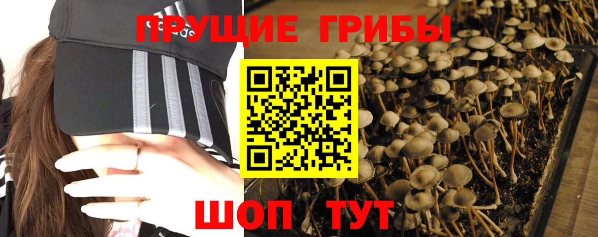 Новоалтайск  Галлюциногенные грибы MAGIC MUSHROOMS  Галлюциногенные грибы Psilocybe  Вход с VPN 